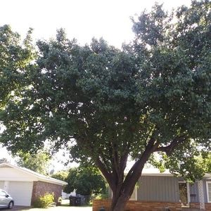 Meet your Posher, Jeffrey